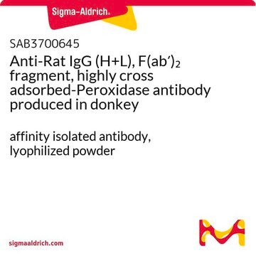 Anti-Rat IgG (H+L), F(ab&#8242;)2 fragment, highly cross adsorbed-Peroxidase antibody produced in donkey affinity isolated antibody, lyophilized powder