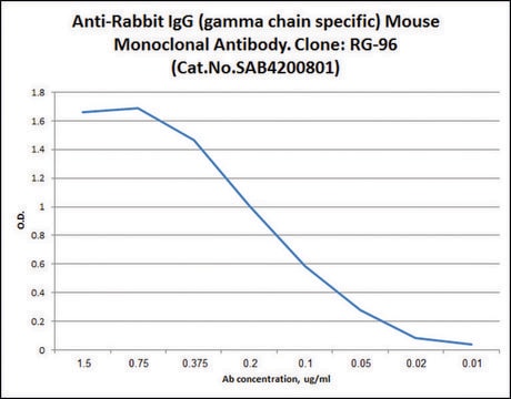 Anti-Rabbit IgG (&#947;-chain specific) antibody, Mouse monoclonal clone RG-96, purified from hybridoma cell culture