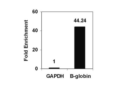 ChIPAb+ 二甲基组蛋白H3（Lys9）- ChIP经验证的抗体和引物组 serum, from rabbit