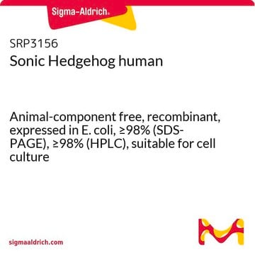 ソニックヘッジホッグ ヒト Animal-component free, recombinant, expressed in E. coli, &#8805;98% (SDS-PAGE), &#8805;98% (HPLC), suitable for cell culture