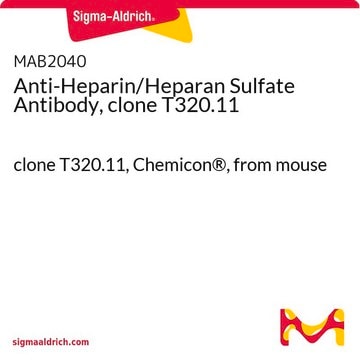 Anticorps anti-héparine/sulfate d'héparane, clone T320.11 clone T320.11, Chemicon&#174;, from mouse