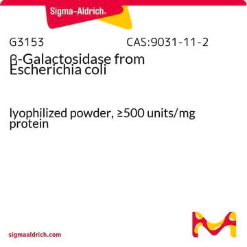 &#946;-Galactosidasa from Escherichia coli lyophilized powder, &#8805;500&#160;units/mg protein