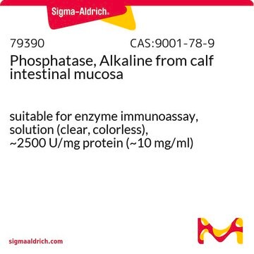 Phosphatase, alkalisch aus Kälberdarmschleimhaut suitable for enzyme immunoassay, solution (clear, colorless), ~2500&#160;U/mg protein (~10 mg/ml)