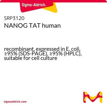 NANOG TAT human recombinant, expressed in E. coli, &#8805;95% (SDS-PAGE), &#8805;95% (HPLC), suitable for cell culture