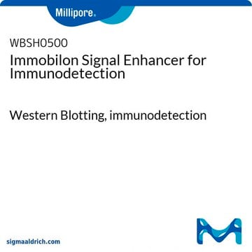 Amplificatore di segnale per l'immunorivelazione Immobilon Western Blotting, immunodetection