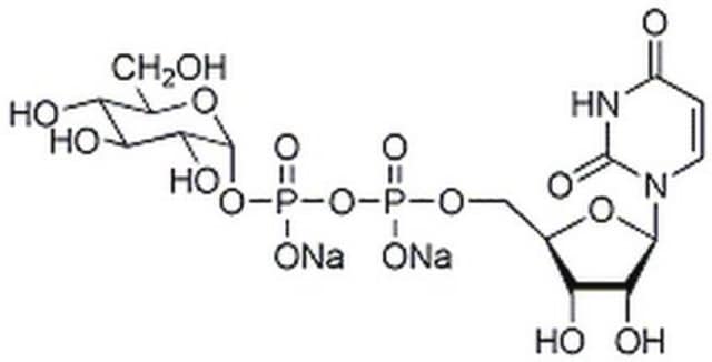 UDP-&#945;-D-葡萄糖，二钠盐 Donor substrate for glucosyltransferases. A key intermediate in the biosynthesis of glycogen.