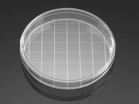 Corning&#174; Falcon&#174; Cell Culture Dish plate diam. × capacity 150 x 25&#160;mm × 45&#160;mL, with 20mm Grid Molded in Base, Tissue Culture (TC)-treated surface, sterile