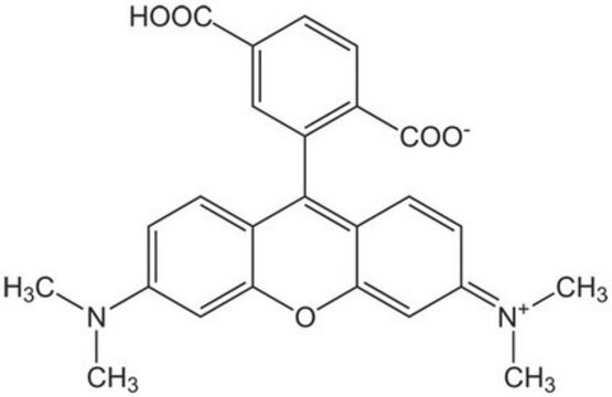 6-Carboxy-tetramethylrhodamine Novabiochem 91809-67-5