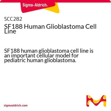 Línea celular de glioblastoma humano SF188 SF188 human glioblastoma cell line is an important cellular model for pediatric human glioblastoma.