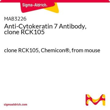 Anti-Cytokeratin-7-Antikörper, Klon&nbsp;RCK105 clone RCK105, Chemicon&#174;, from mouse