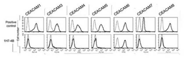 Anti-CEACAM6 Antibody, clone 1H7-4B clone 1H7-4B, from mouse