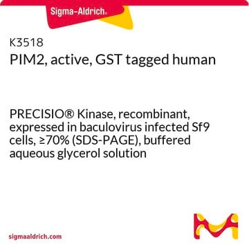 PIM2, active, GST tagged human PRECISIO&#174; Kinase, recombinant, expressed in baculovirus infected Sf9 cells, &#8805;70% (SDS-PAGE), buffered aqueous glycerol solution