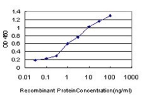 Monoclonal Anti-FLT4 antibody produced in mouse clone 1C1, purified immunoglobulin, buffered aqueous solution