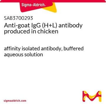 Anti-goat IgG (H+L) antibody produced in chicken affinity isolated antibody, buffered aqueous solution