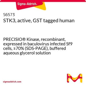 STK3, active, GST tagged human PRECISIO&#174; Kinase, recombinant, expressed in baculovirus infected Sf9 cells, &#8805;70% (SDS-PAGE), buffered aqueous glycerol solution