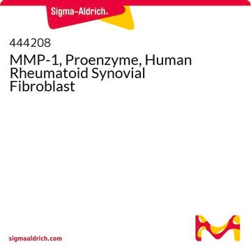 MMP-1, Proenzyme, Human Rheumatoid Synovial Fibroblast