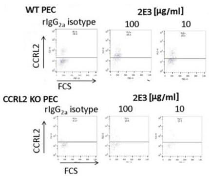 Anti-CCRL2 (Mouse) Antibody, clone BZ2E3 clone BZ2E3, from rat