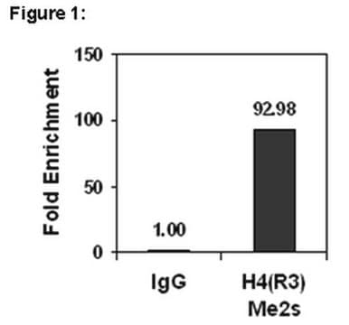 ChIPAb+ Dimethyl-Histone H4 (Arg3) Symmetric - ChIP Validated Antibody and Primer Set from rabbit, purified by affinity chromatography