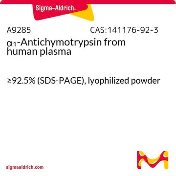 &#945;1-Antichymotrypsin 来源于人类血浆 &#8805;92.5% (SDS-PAGE), lyophilized powder