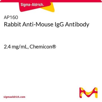 Anticuerpo de conejo anti-IgG de ratón 2.4&#160;mg/mL, Chemicon&#174;