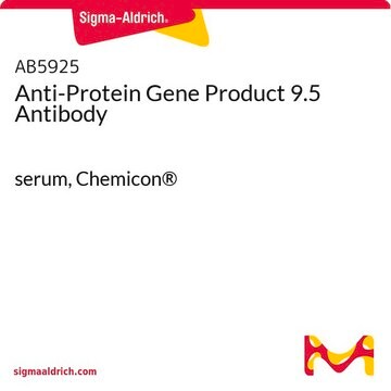 Anticorps anti-PGP&nbsp;9.5 ("protein gene product&nbsp;9.5") serum, Chemicon&#174;