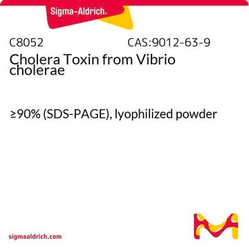 Toxina del cólera from Vibrio cholerae &#8805;90% (SDS-PAGE), lyophilized powder