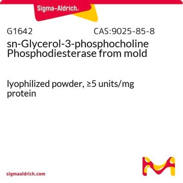 sn-Glycerol-3-phosphocholine Phosphodiesterase from mold lyophilized powder, &#8805;5&#160;units/mg protein