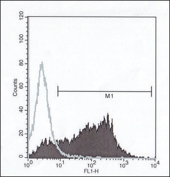 Anti-DCAL-1 antibody, Mouse monoclonal clone UW50, purified from hybridoma cell culture