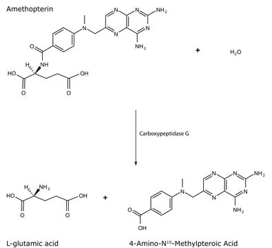 羧肽酶 &#160;G 来源于假单胞菌 属 lyophilized powder, &#8805;3&#160;units/mg protein