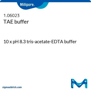 TAE buffer 10 x pH 8.3 tris-acetate-EDTA buffer