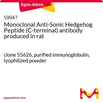 Monoclonal Anti-Sonic Hedgehog Peptide (C-terminal) antibody produced in rat clone 55626, purified immunoglobulin, lyophilized powder