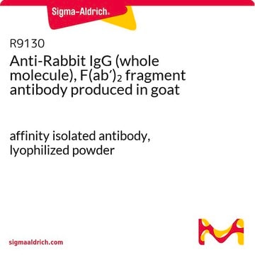 Anti-Rabbit IgG (whole molecule), F(ab&#8242;)2 fragment antibody produced in goat affinity isolated antibody, lyophilized powder