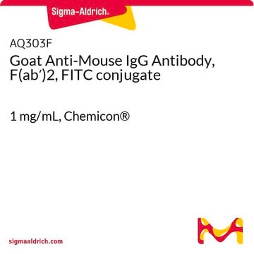 Anticuerpo de cabra anti-IgG de ratón F(ab&#8242;)2 conjugado con FITC 1&#160;mg/mL, Chemicon&#174;