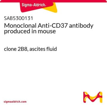 Monoclonal Anti-CD37 antibody produced in mouse clone 2B8, ascites fluid