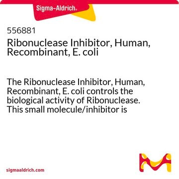 Ribonuclease Inhibitor, Human, Recombinant, E. coli The Ribonuclease Inhibitor, Human, Recombinant, E. coli controls the biological activity of Ribonuclease. This small molecule/inhibitor is primarily used for Protease Inhibitors applications.