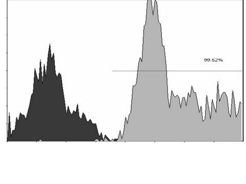 Anti-ZAP-70 Antibody, clone 2F3.2, FITC conjugate clone 2F3.2, Upstate&#174;, from mouse