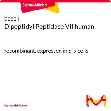 Dipeptidyl Peptidase VII human recombinant, expressed in Sf9 cells