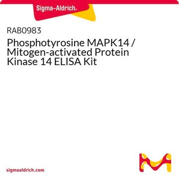 Phosphotyrosine MAPK14 / Mitogen-activated Protein Kinase 14 ELISA Kit