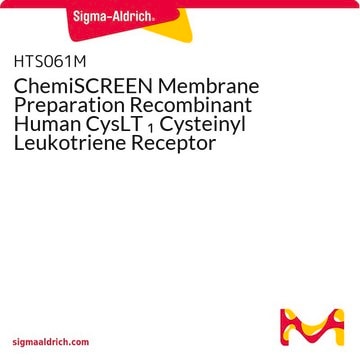 ChemiSCREEN Membrane Preparation Recombinant Human CysLT 1 Cysteinyl Leukotriene Receptor