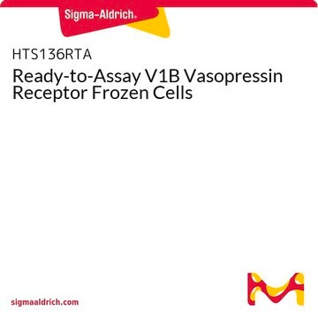 Ready-to-Assay V1B Vasopressin Receptor Frozen Cells