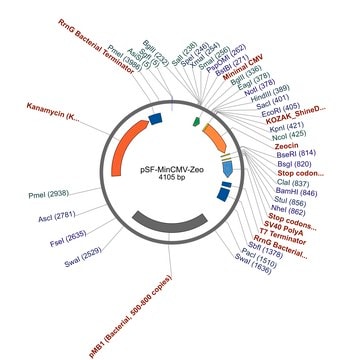 PSF-MINCMV-ZEO - MINIMAL CMV ZEOCIN RESISTANT PLASMID plasmid vector for molecular cloning