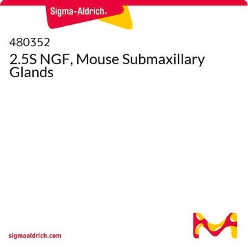 2.5S NGF, Mouse Submaxillary Glands