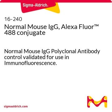 IgG normale de souris conjuguée à l'Alexa Fluor&#8482;&nbsp;488 Normal Mouse IgG Polyclonal Antibody control validated for use in Immunofluorescence.