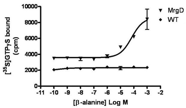 ChemiSCREEN Membrane Preparation Recombinant Human MrgD Mas-Related Gene Family Receptor Human MRGPRD / MrgD GPCR membrane preparation for Radioligand binding Assays &amp; GTP&#947;S binding.