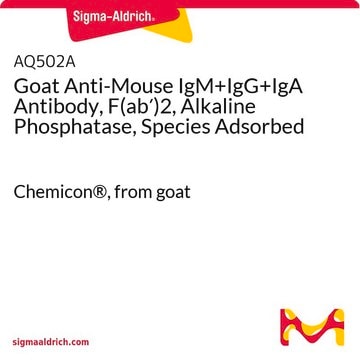 Goat Anti-Mouse IgM+IgG+IgA Antibody, F(ab&#8242;)2, Alkaline Phosphatase, Species Adsorbed Chemicon&#174;, from goat