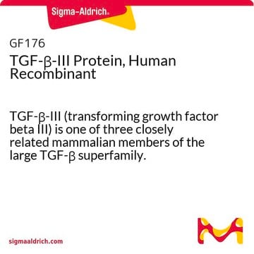 Proteína TGF-&#946;-III recombinante humana TGF-&#946;-III (transforming growth factor beta III) is one of three closely related mammalian members of the large TGF-&#946; superfamily.