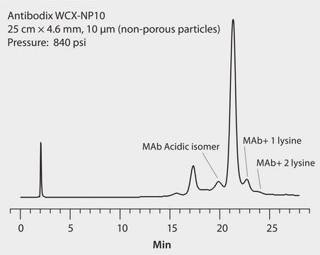 HPLC Analysis of Monoclonal Antibodies (mAb) with Charge Variance on Antibodix&#174; WCX-NP10 application for HPLC