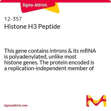 Histone H3 Peptide This gene contains introns &amp; its mRNA is polyadenylated, unlike most histone genes. The protein encoded is a replication-independent member of the histone H3 family.