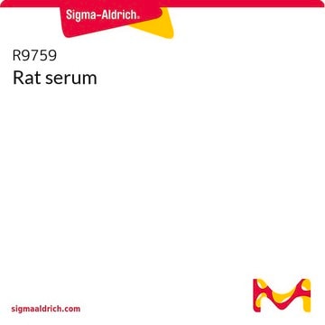 Serum from rat