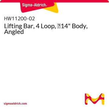 Lifting Bar, 4 Loop, &#8709;14" Body, Angled